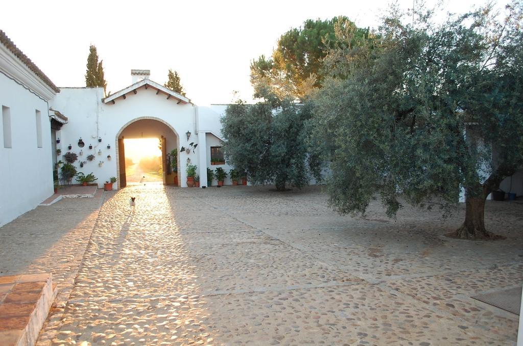 Hostal Hacienda Dos Olivos Aznalcázar Exterior foto