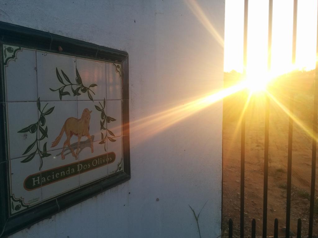 Hostal Hacienda Dos Olivos Aznalcázar Exterior foto